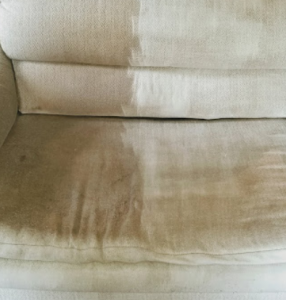 Furniture Upholstery Cleaning Love Seat Before Image